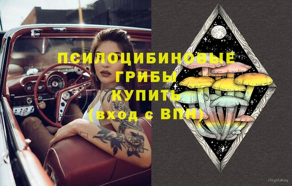 кокс Белокуриха